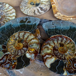 marokko rundreise 2023_2